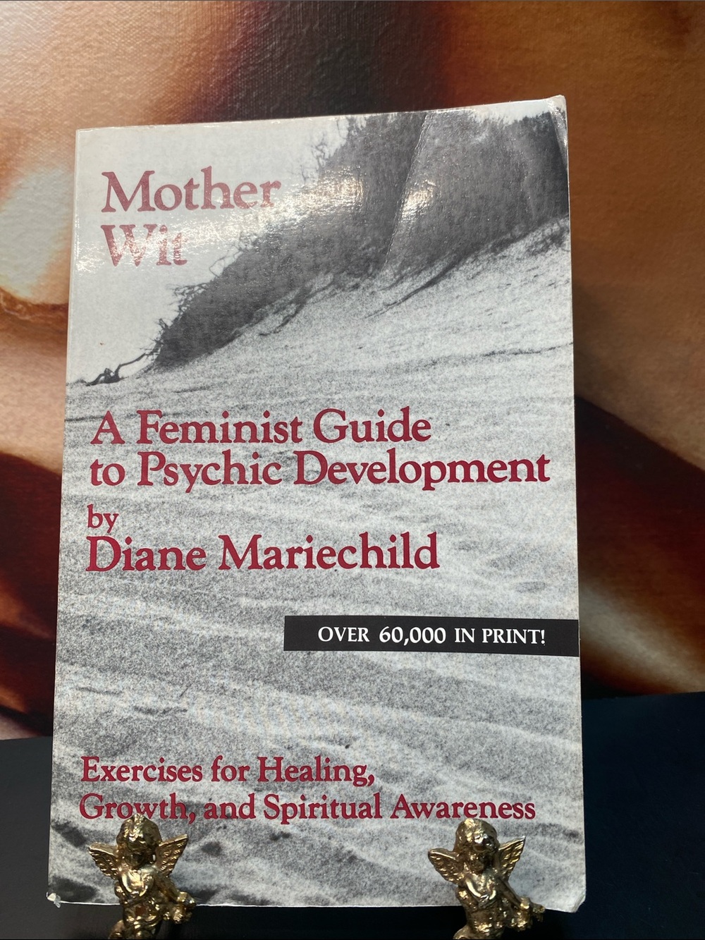 Mother Wit - Feminist Guide to Psychic Development by Diane Mariechild 1981